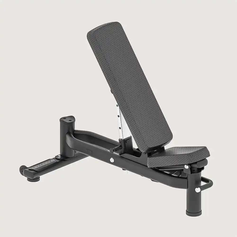 Anatomy Multi Adjustable Bench - Exercise Benches - Pro Sports | Shop online in Kuwait