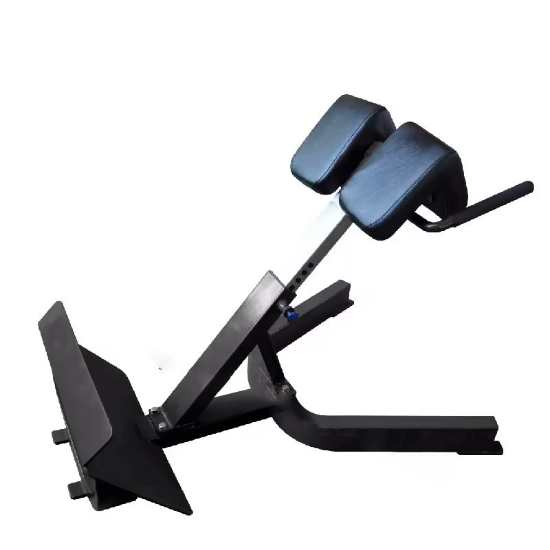 Back Extension Bench Pro Sports Kuwait