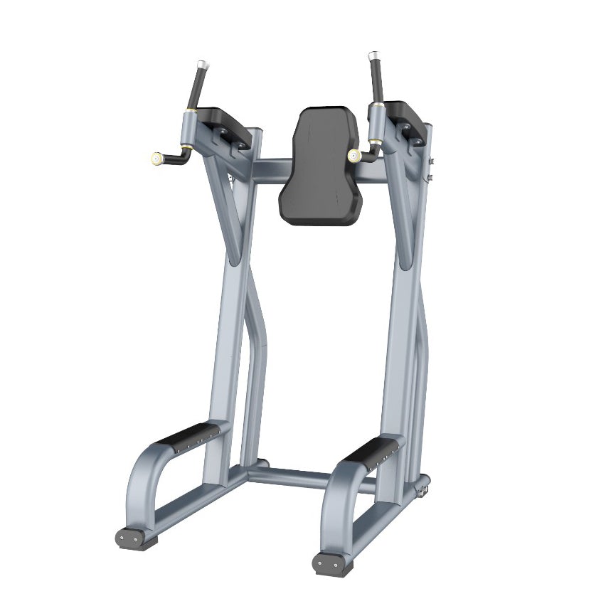 1441 Fitness Vertical Knee Raise Dip Station Gym Equipment