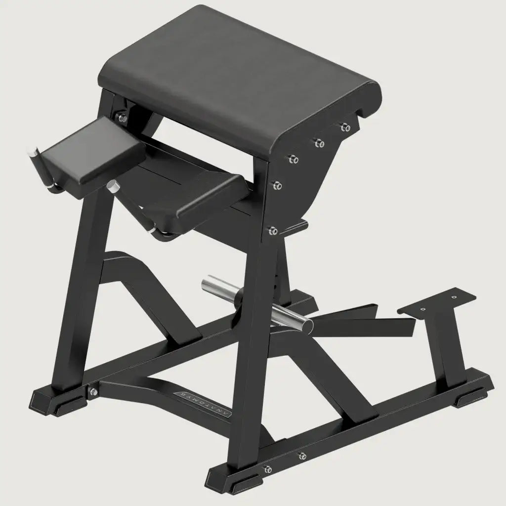 Anatomy Fitness Reverse Hyper