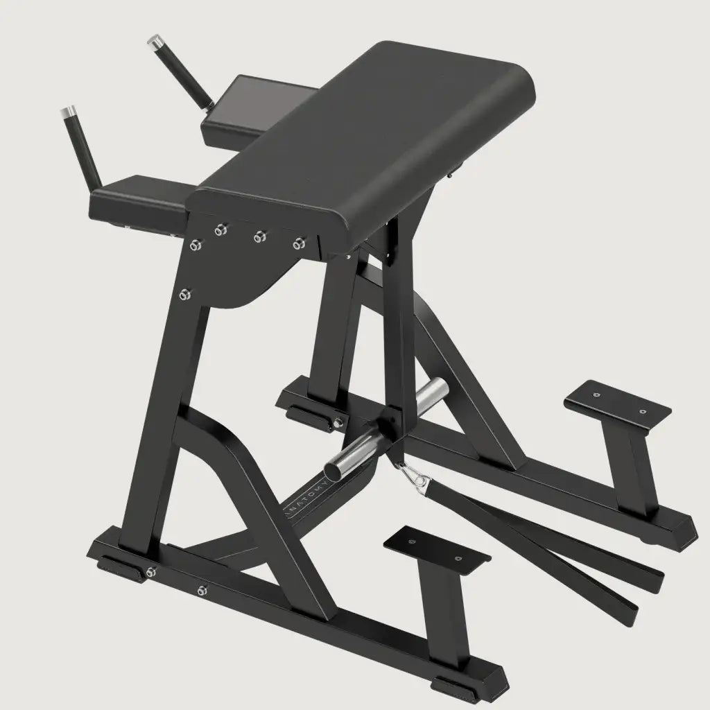 Anatomy Fitness Reverse Hyper