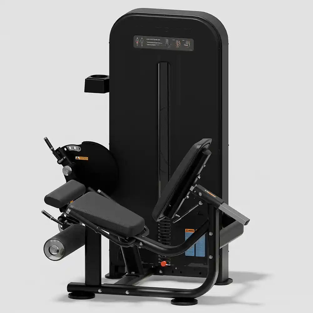 Anatomy Flexora Leg Extension