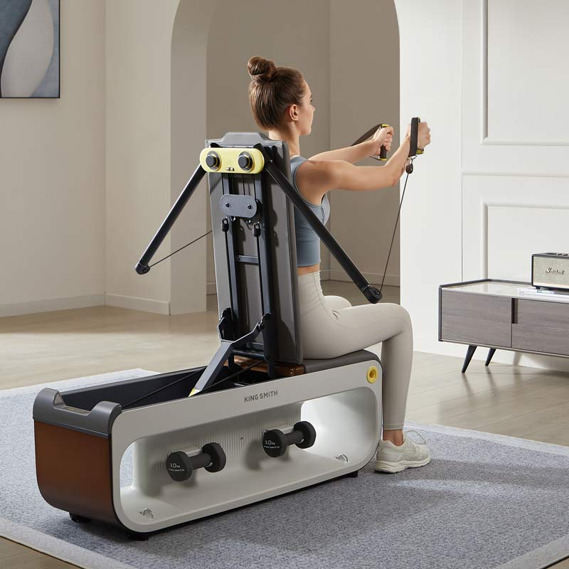 King Smith Multifunctional Gym Bench B1