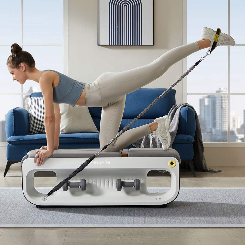 King Smith Multifunctional Gym Bench B1