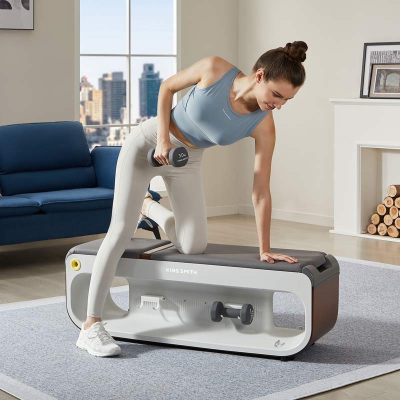 King Smith Multifunctional Gym Bench B1