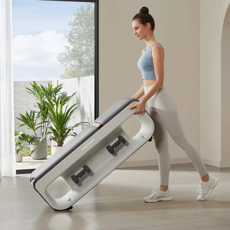 King Smith Multifunctional Gym Bench B1