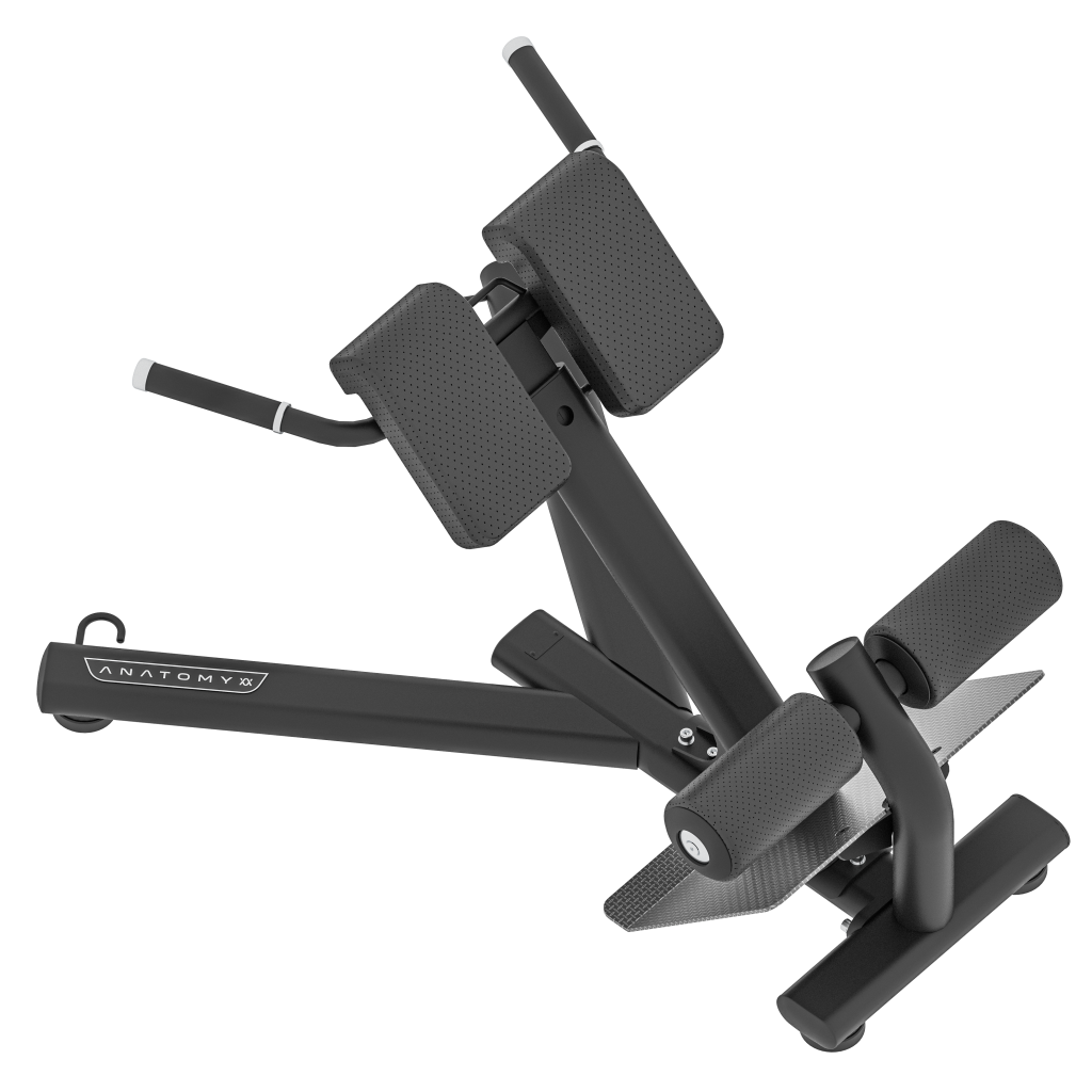 Anatomy Back Extension