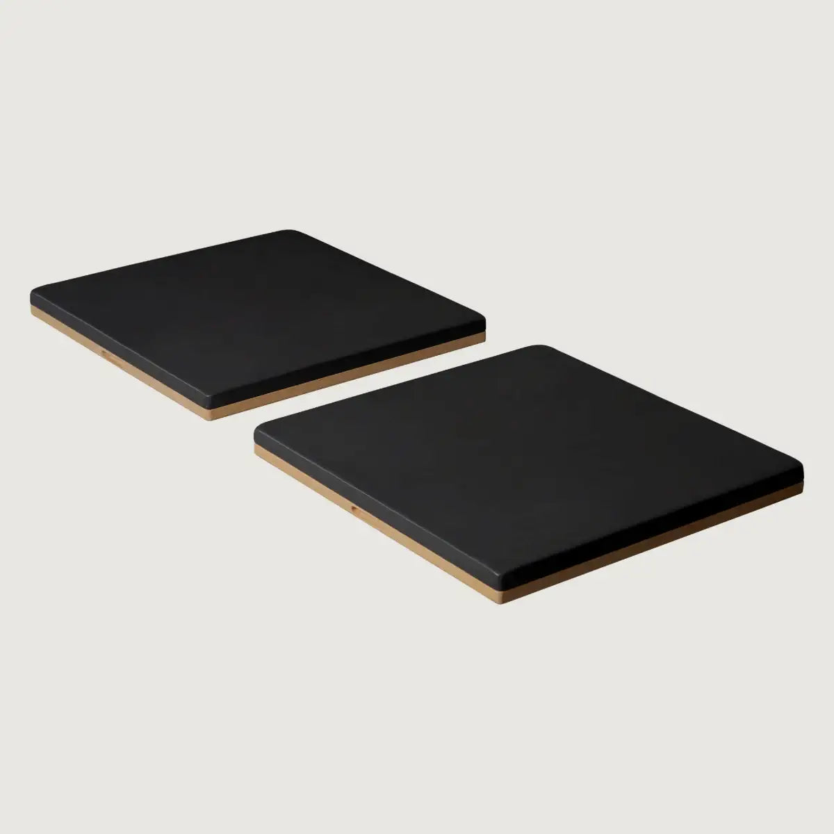 BASI Systems Twin Mat Conversion