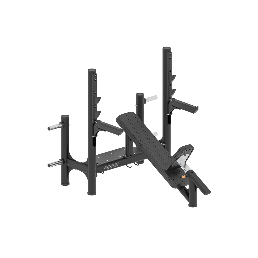 Anatomy  Incline Olympic Bench