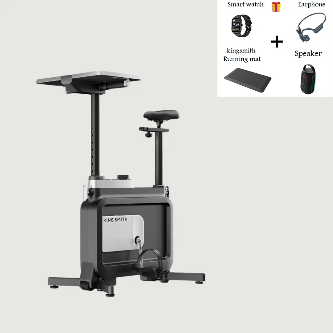 King Smith W1B Foldable Exercise Bike