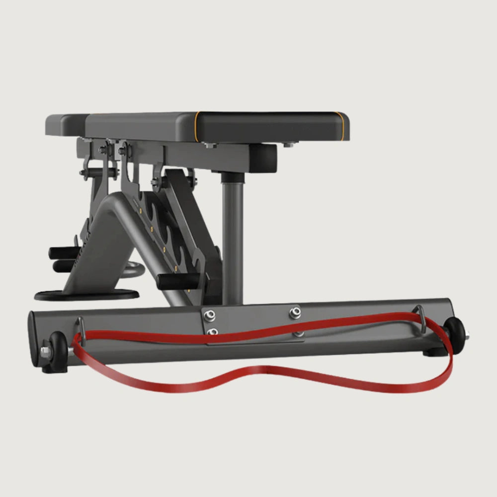 Matrix Multi-Adjustable Bench