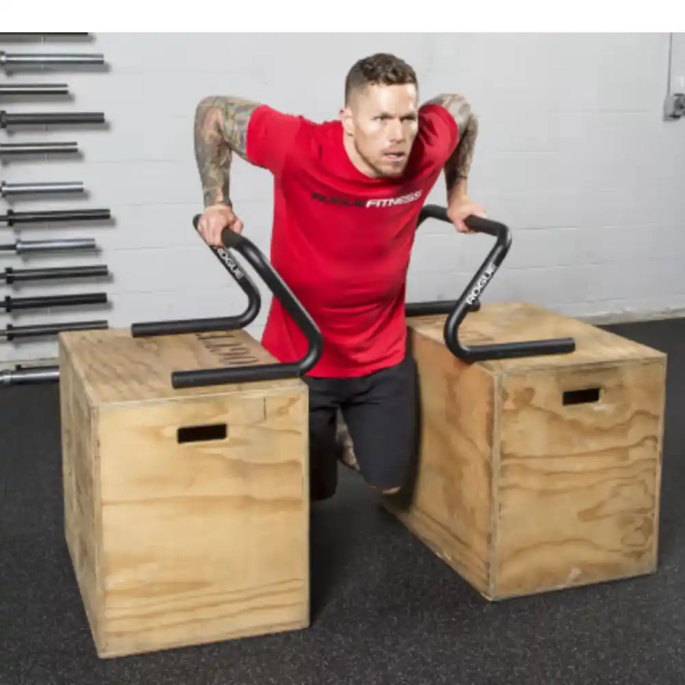 Rogue Parallettes Set