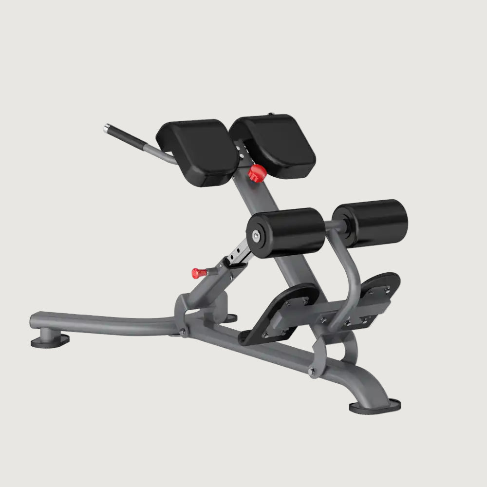 Insight Fitness Back Extension