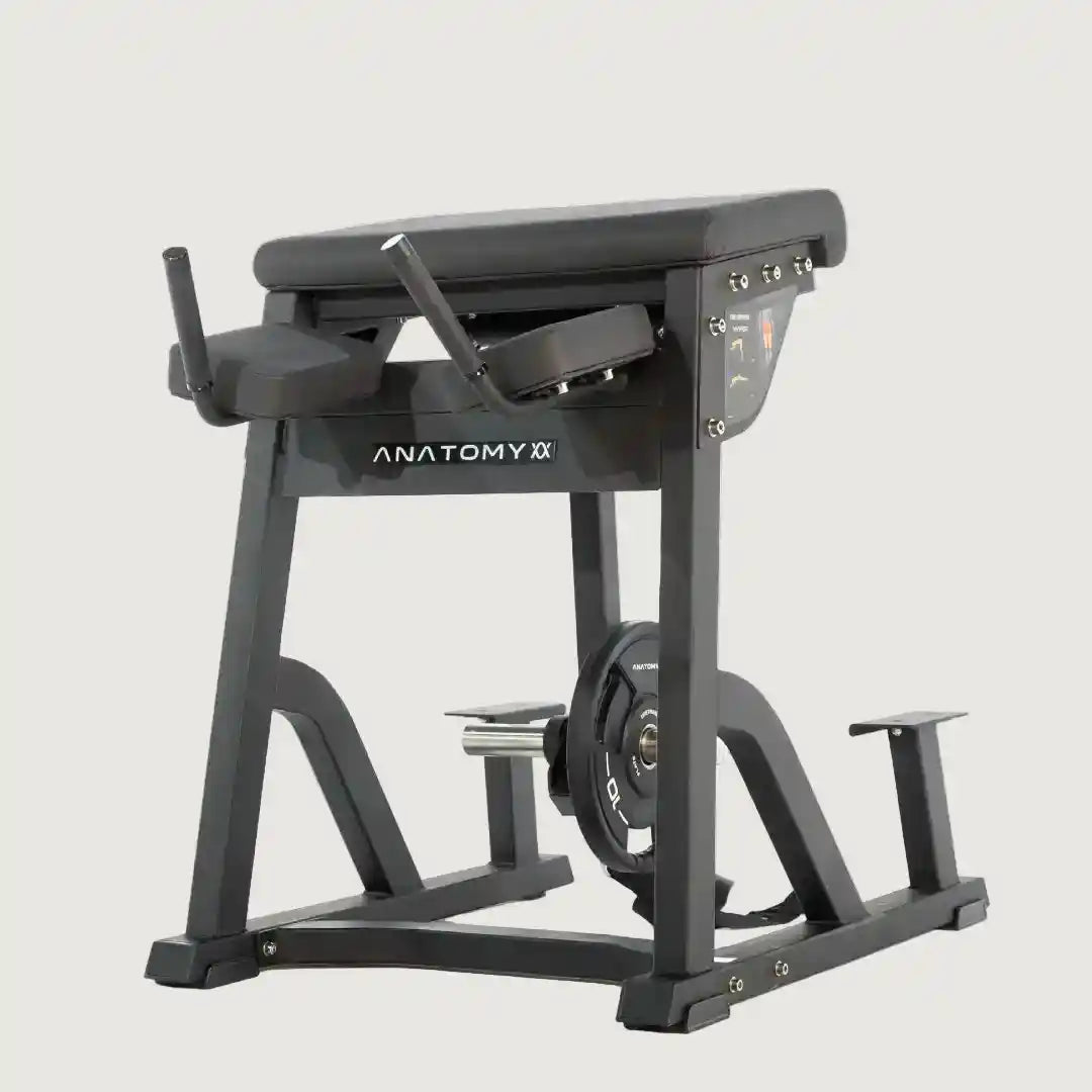 Anatomy Torgyn Reverse Hyper
