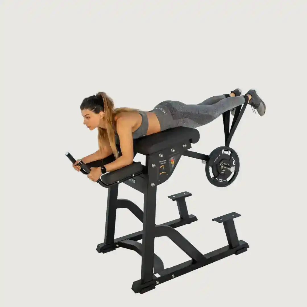 Anatomy Torgyn Reverse Hyper