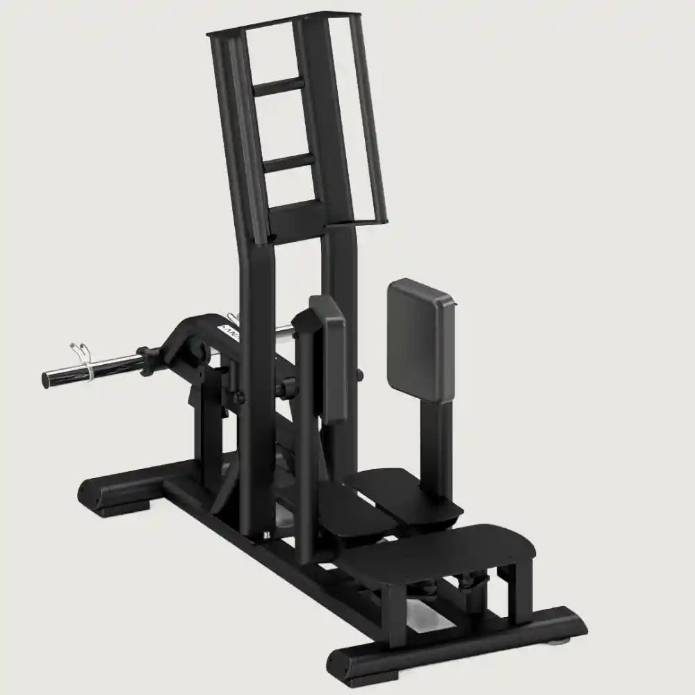 Anatomy Torgyn Standing Abductor