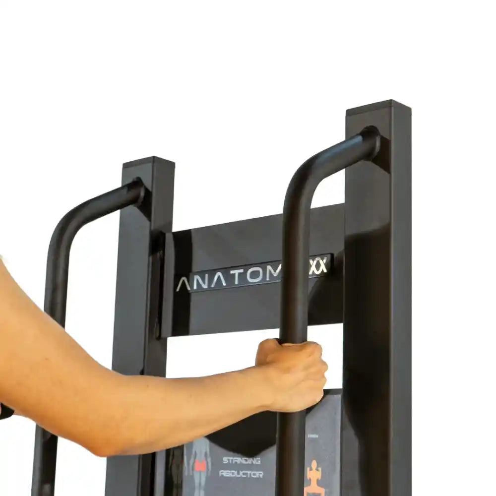 Anatomy Torgyn Standing Abductor