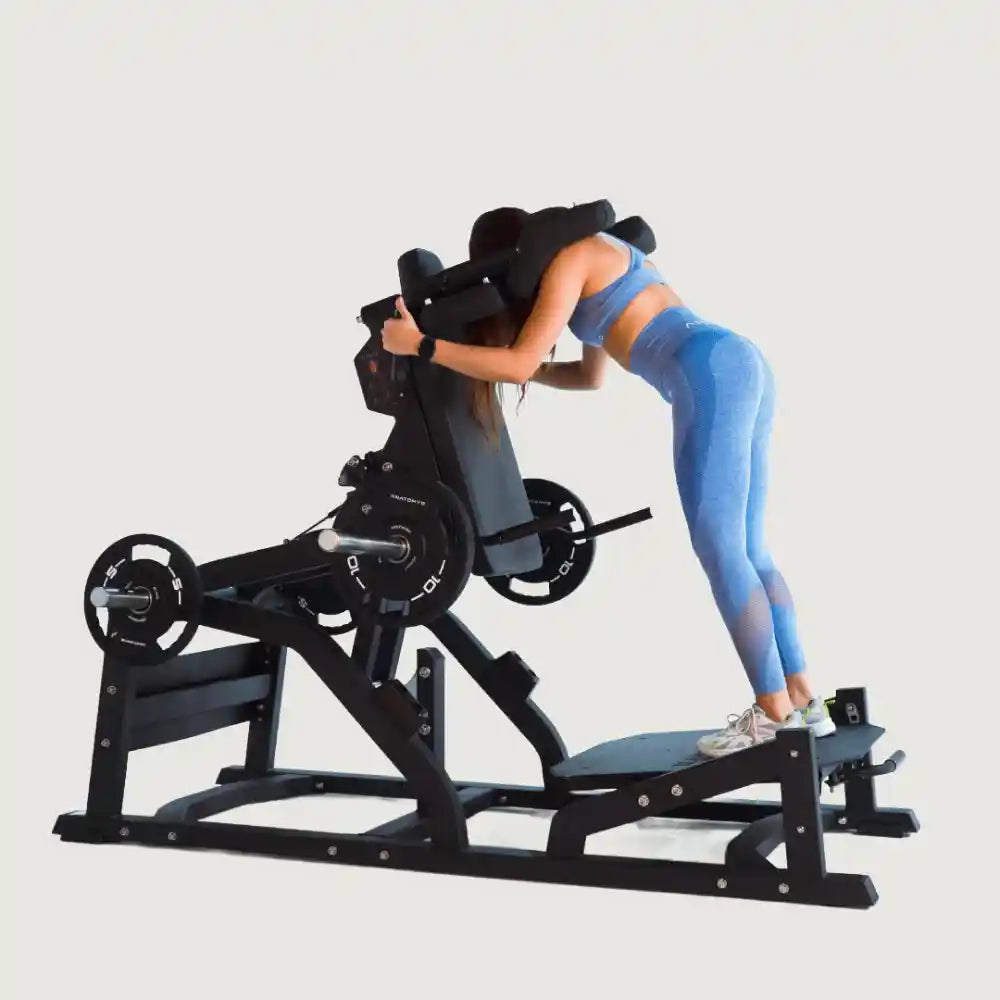 Anatomy Torgyn V-Squat