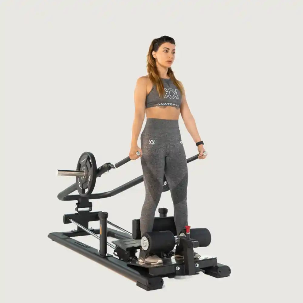 Anatomy Torgyn Split Squat