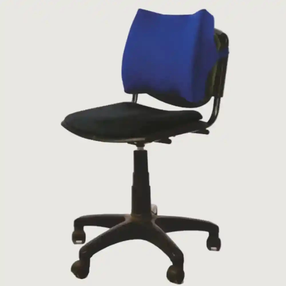 VISSCO Orthopaedic Moulded Back Rest