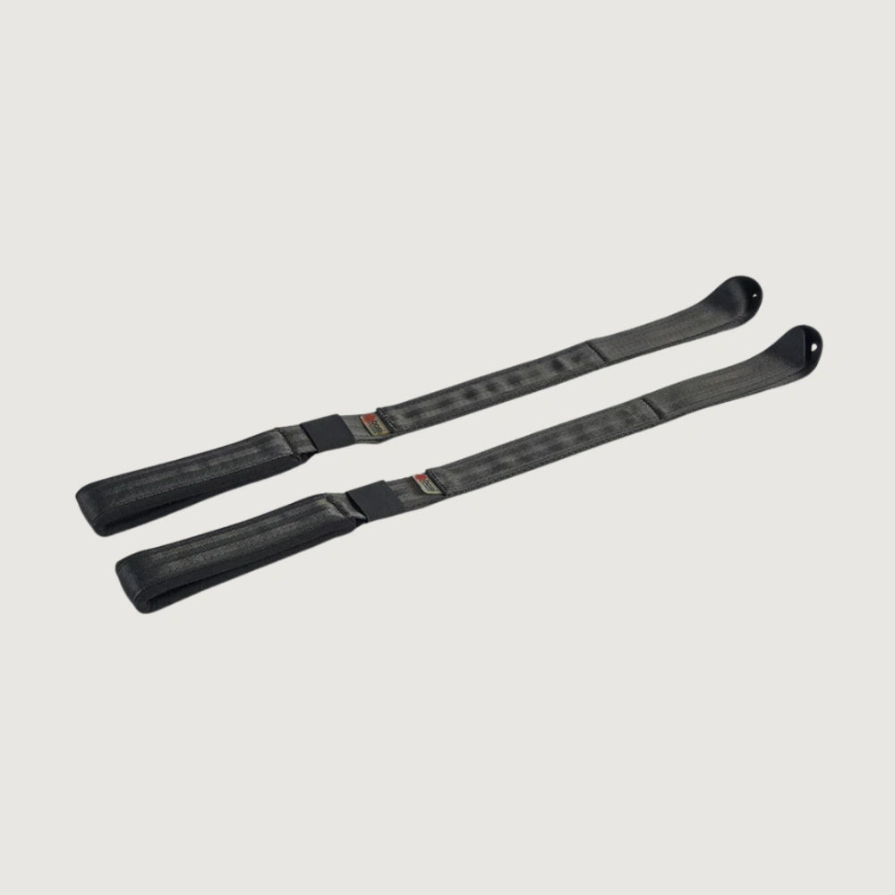 BASI Systems Fuzzy