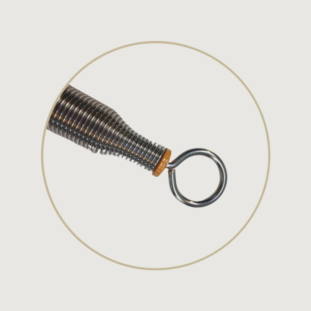 BASI Systems Springs