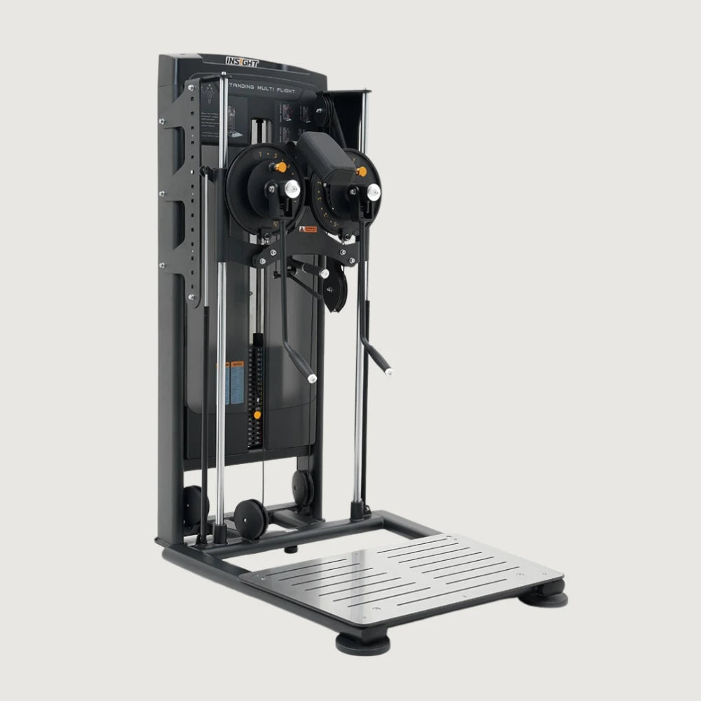 Insight Fitness Standing Multi Flight