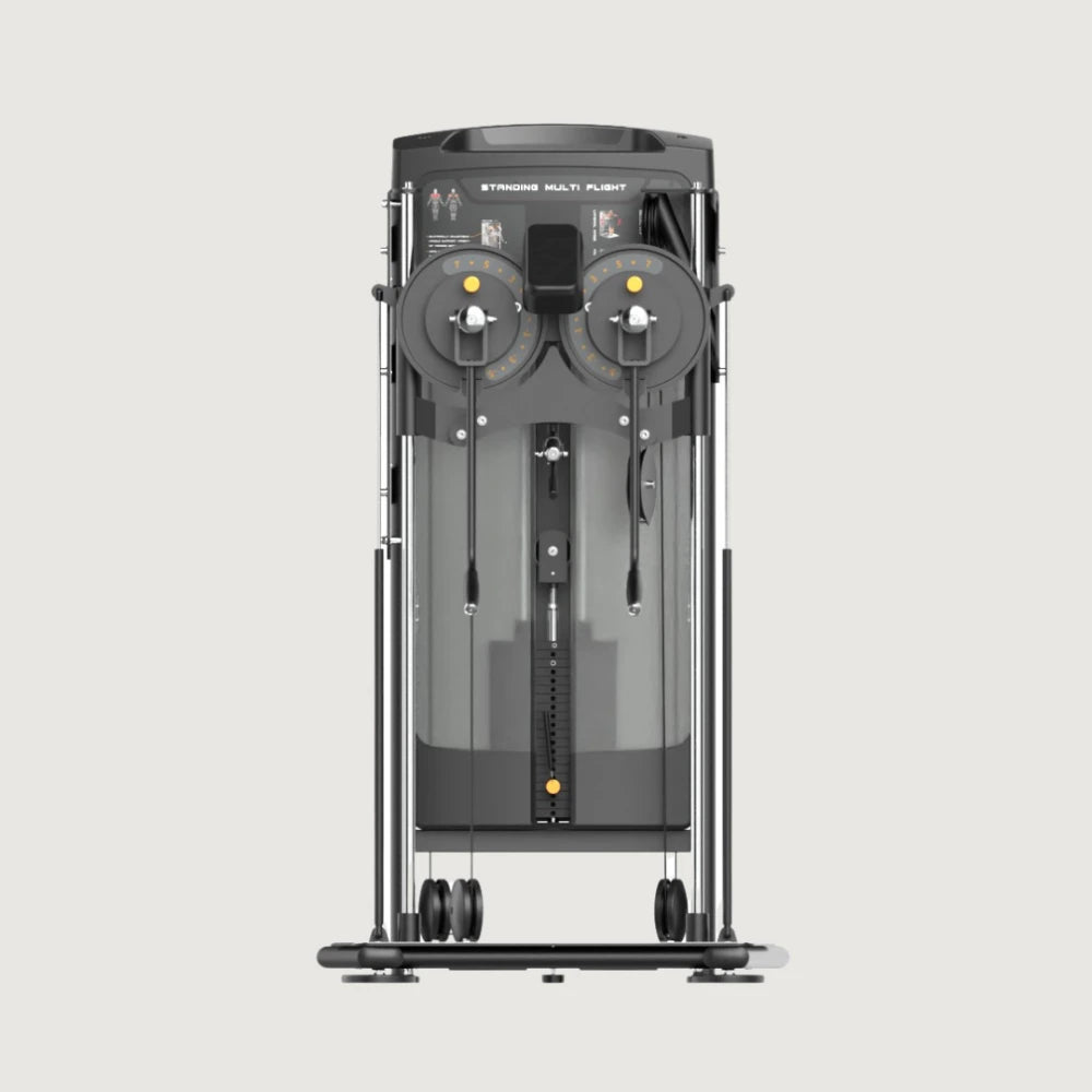 Insight Fitness Standing Multi Flight