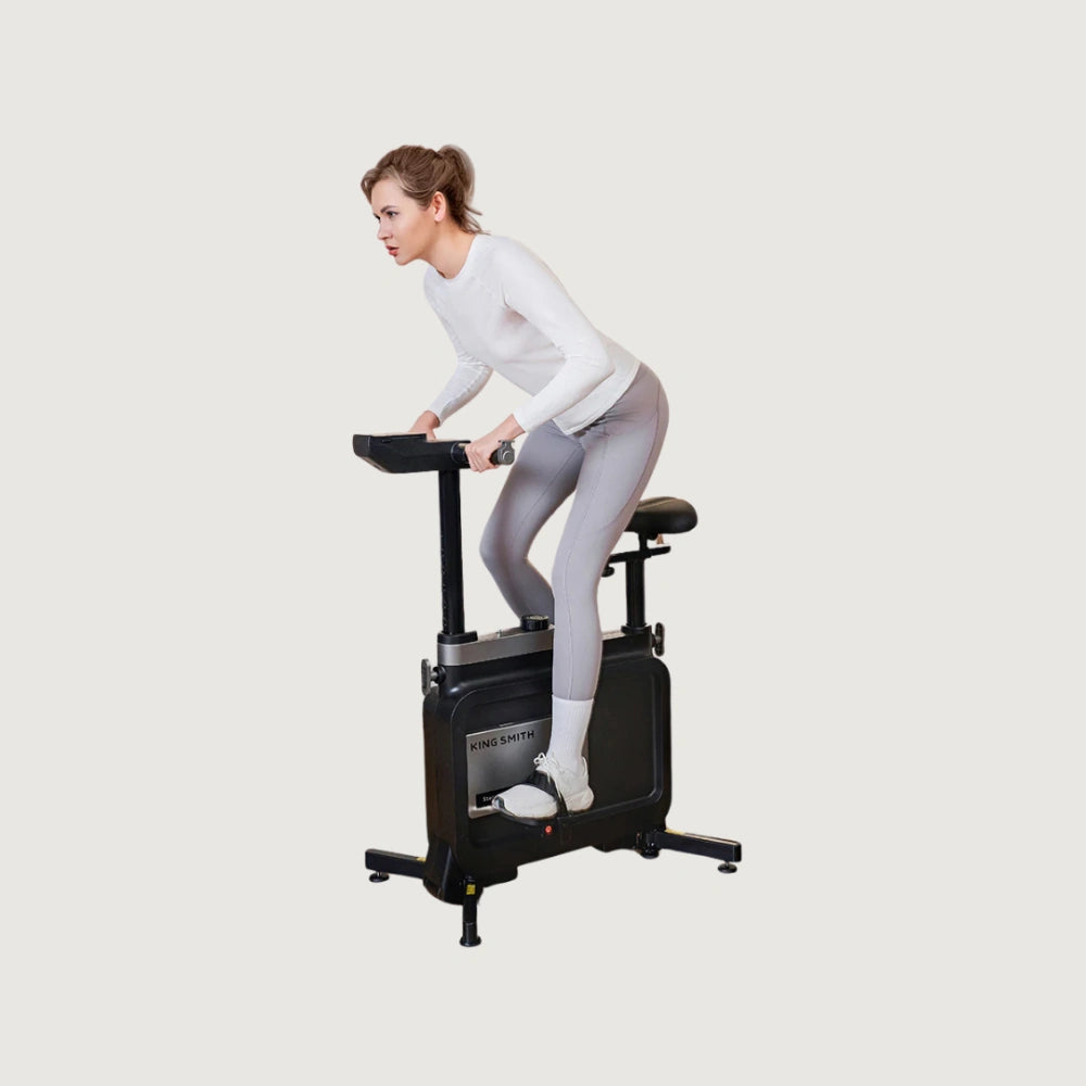 King Smith W1B Foldable Exercise Bike