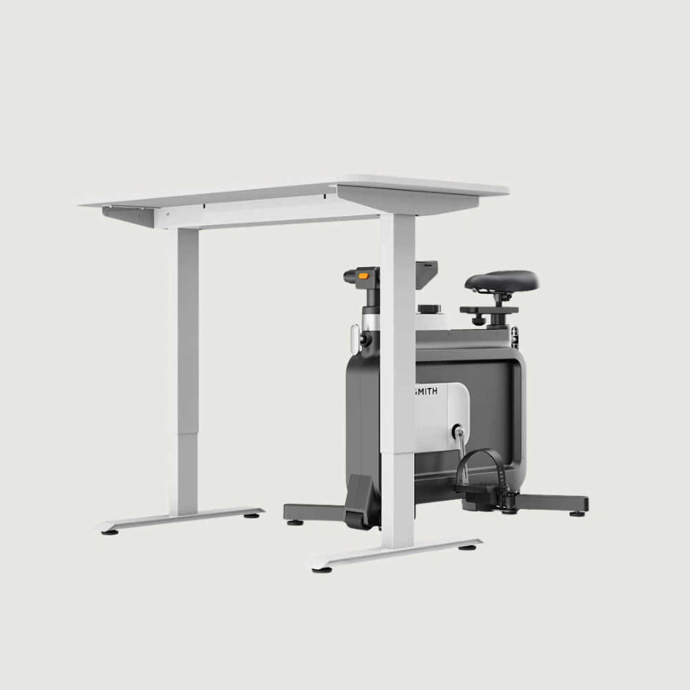 King Smith W1B Foldable Exercise Bike