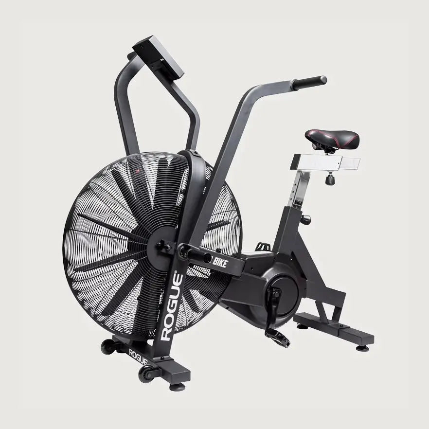 Rogue Echo Bike V3.0