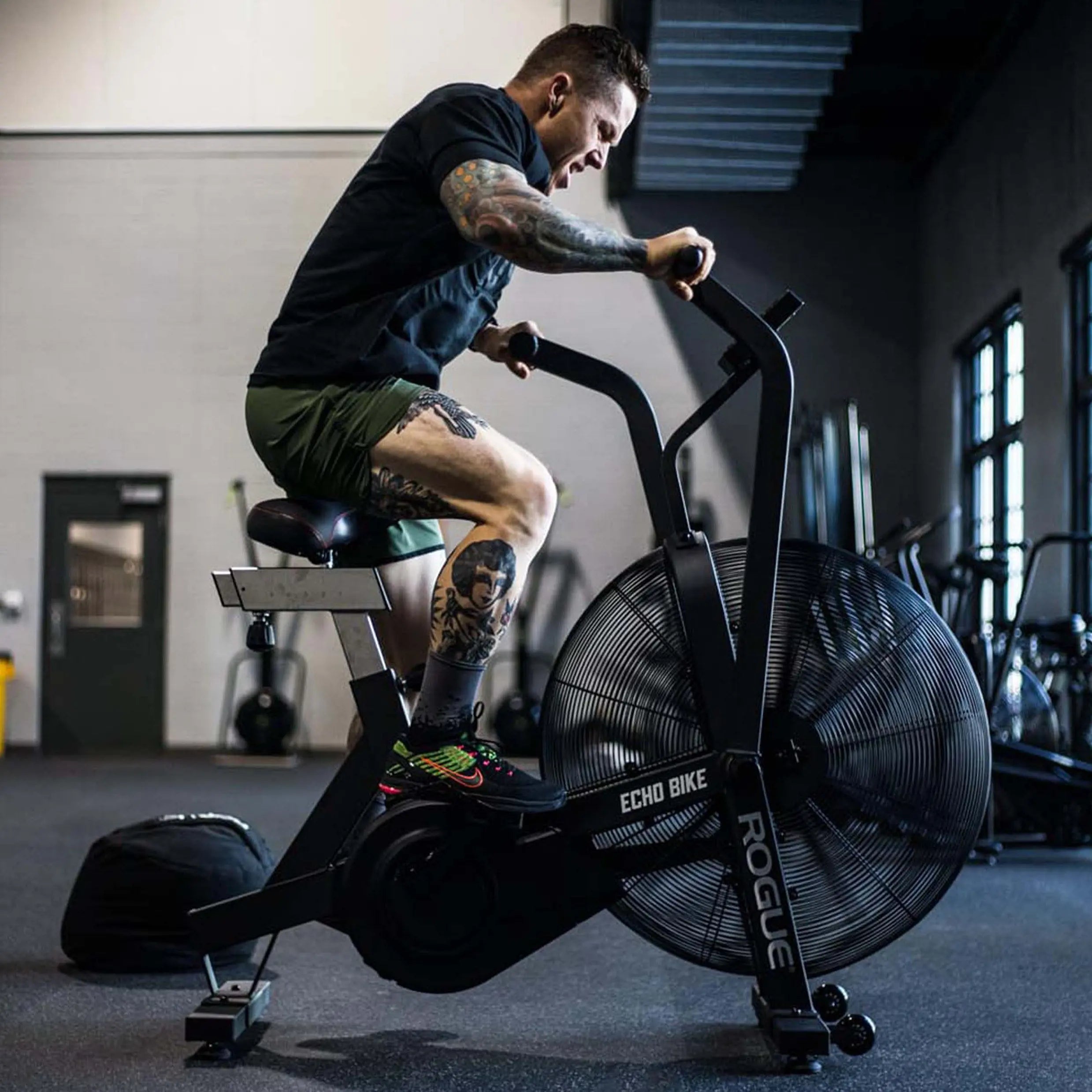 Rogue Echo Bike V3.0