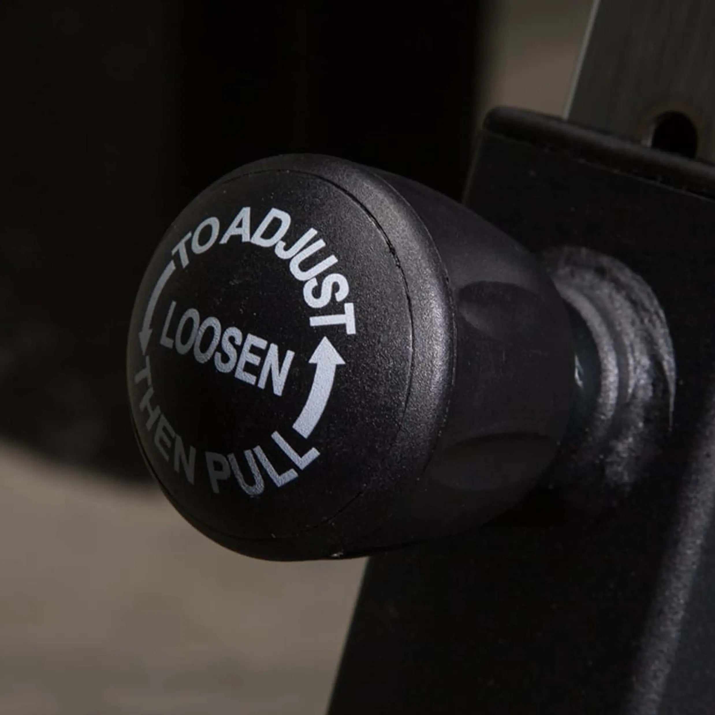 Rogue Echo Bike V3.0