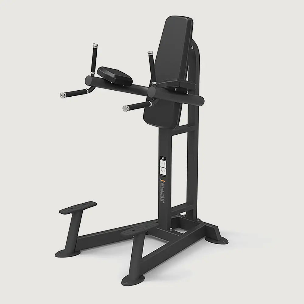 Spirit Fitness Knee Lifting Machine