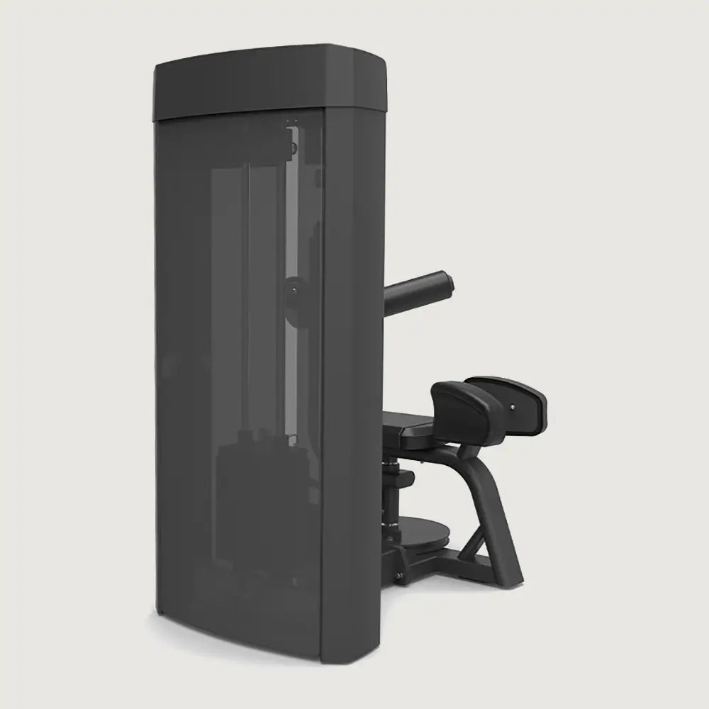 Spirit Fitness Torso Rotation