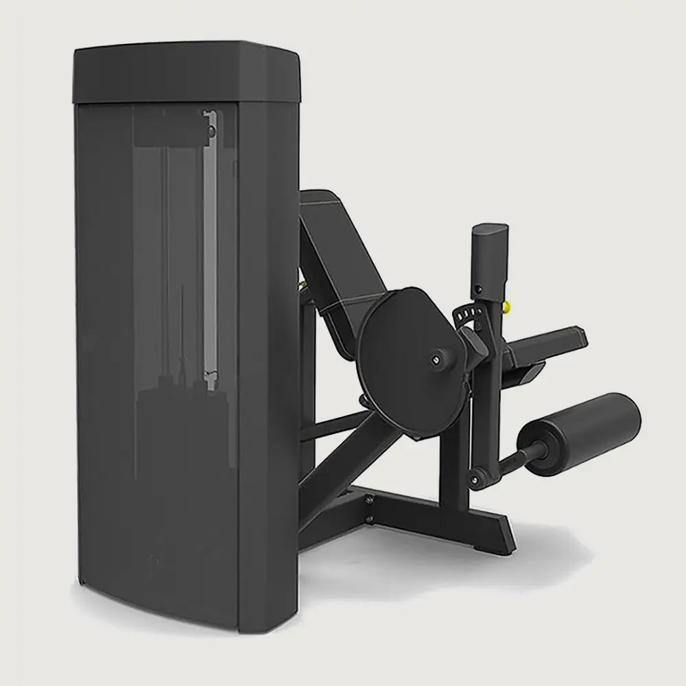 Spirit Fitness Leg Extension