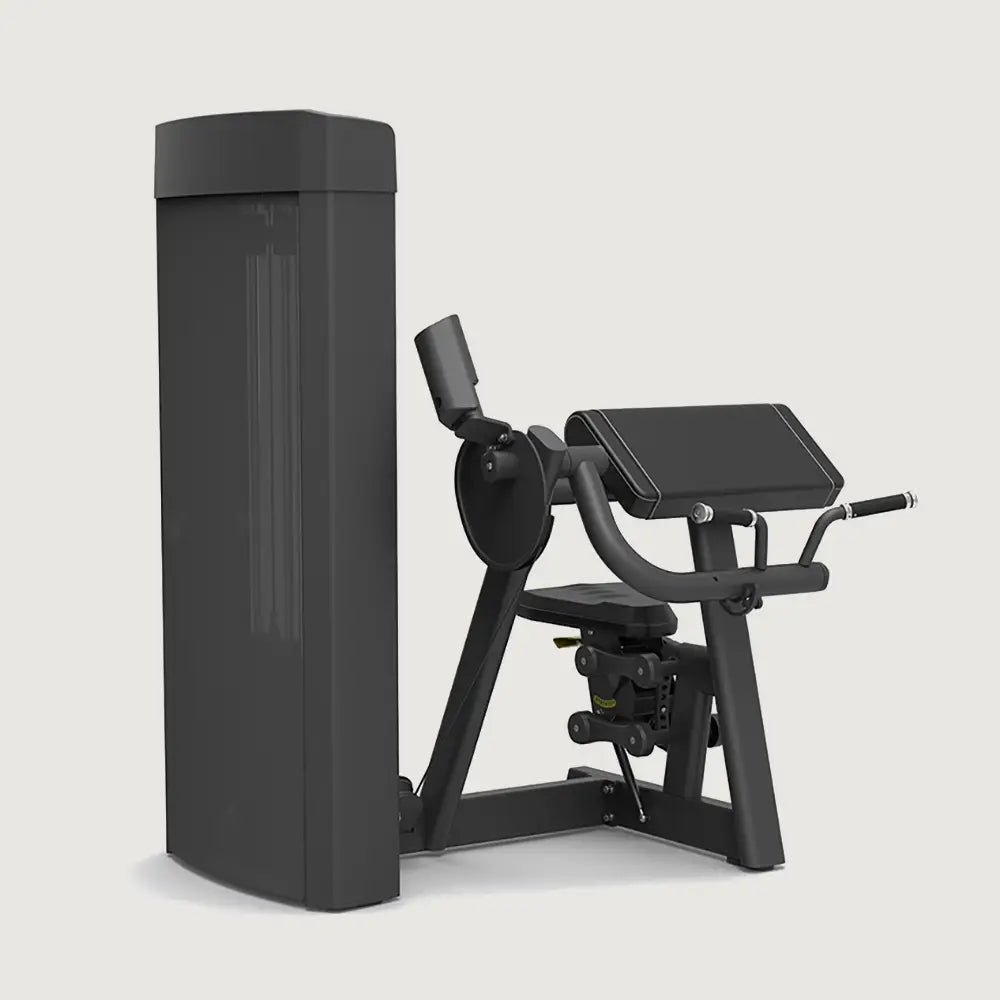 Spirit Fitness Biceps Curl