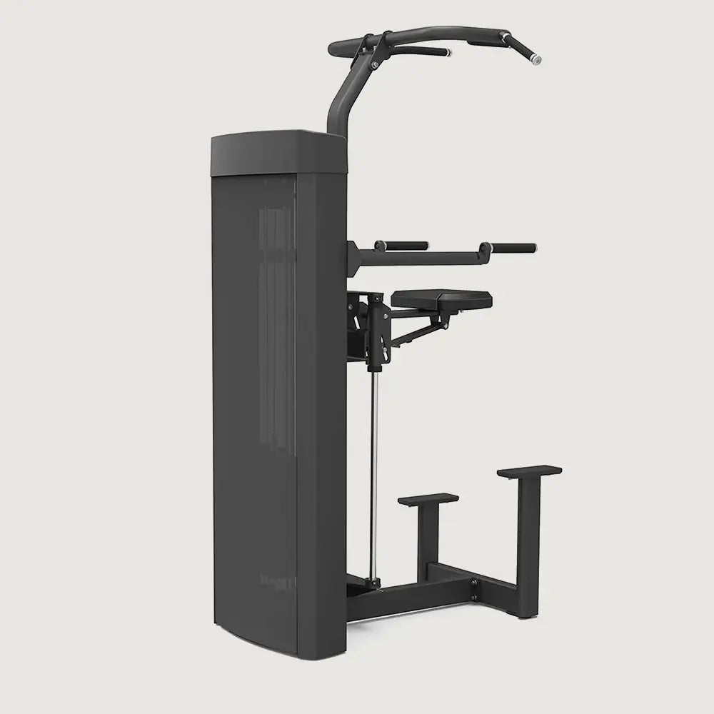 Spirit Fitness Dip/Chin Assist