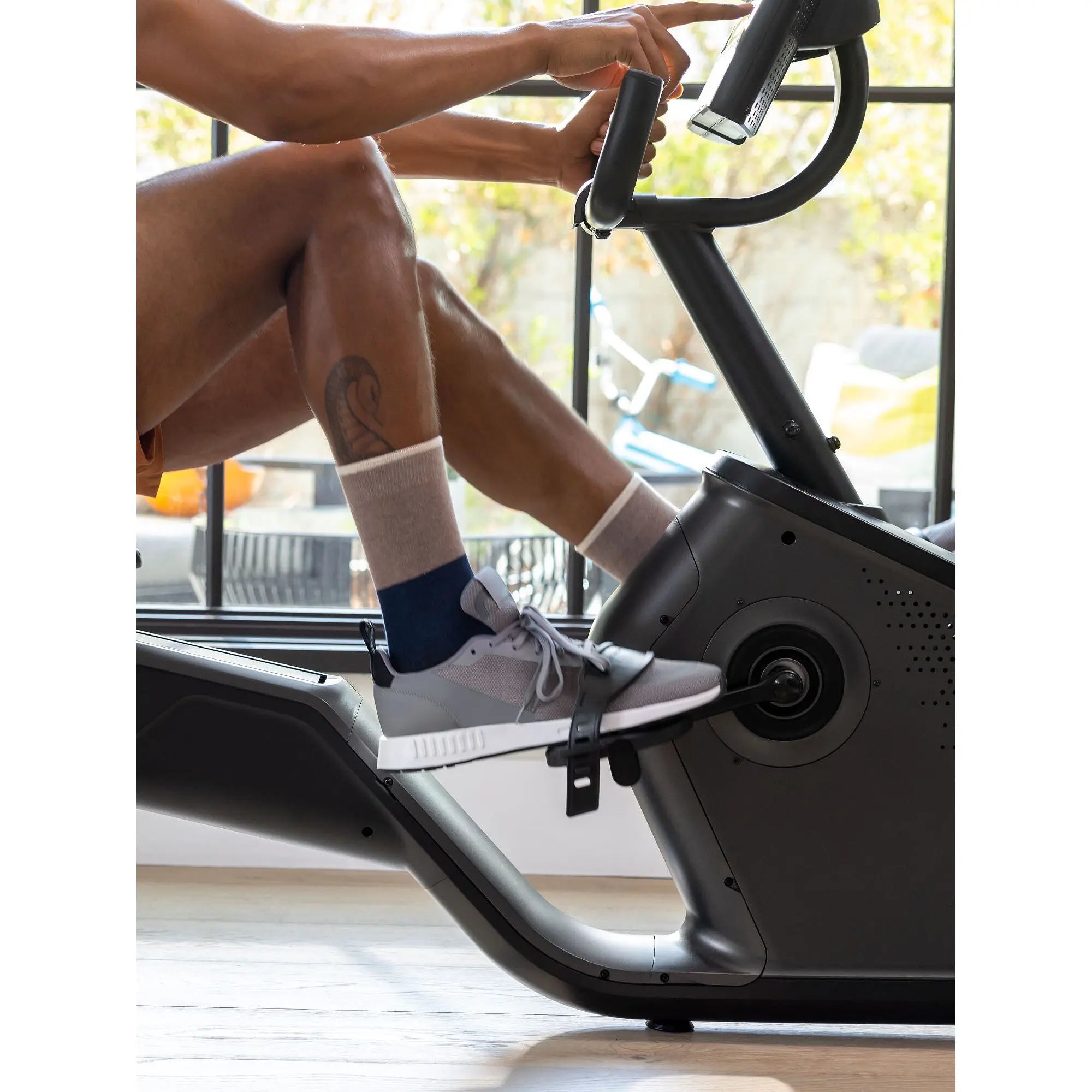 Schwinn 590R Recumbent Bike