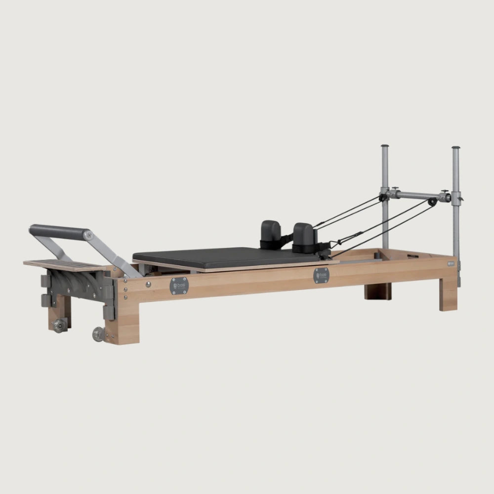 BASI Systems Reformer