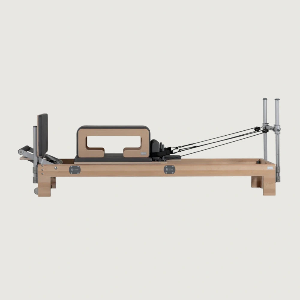BASI Systems Reformer