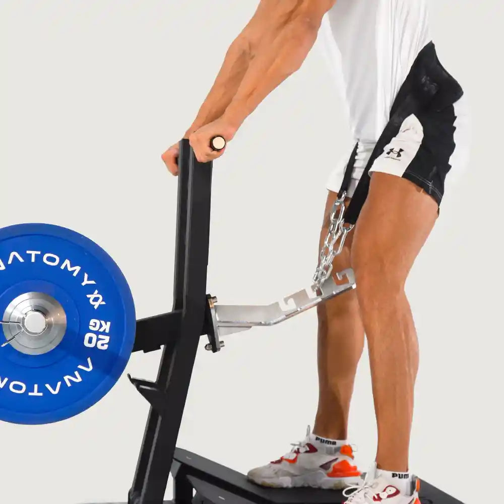Anatomy Torgyn Belt Squat