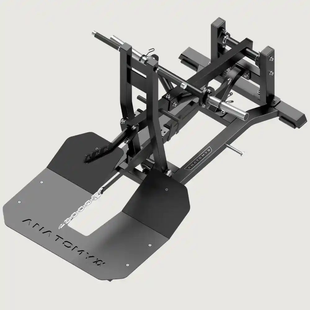 Anatomy Torgyn Belt Squat