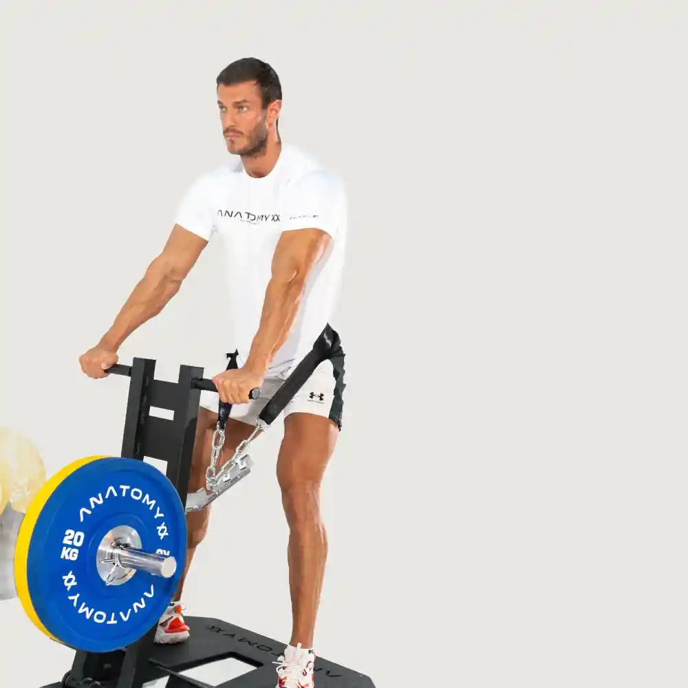 Anatomy Torgyn Belt Squat