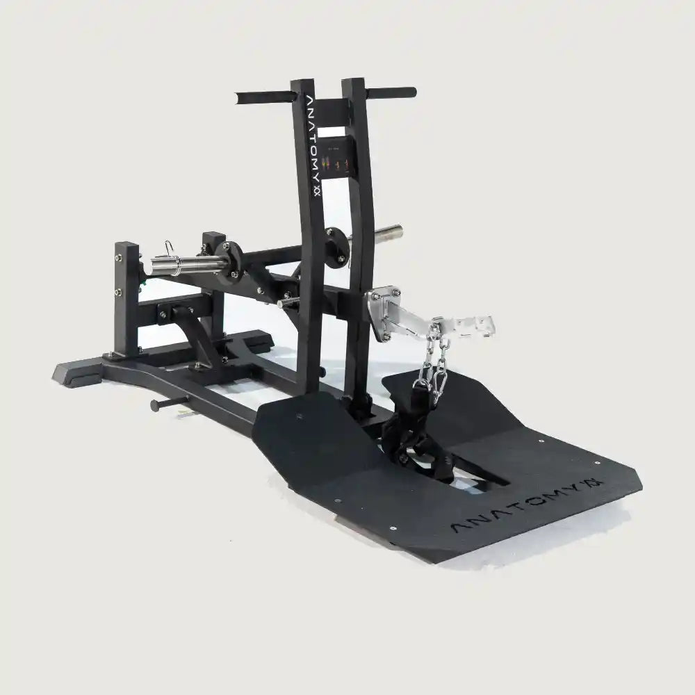 Anatomy Torgyn Belt Squat