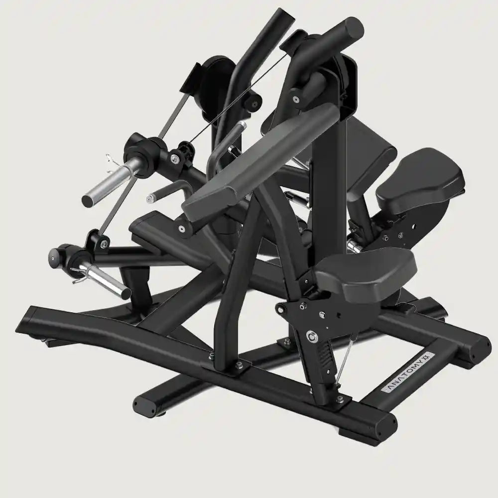 Anatomy Torgyn Biceps Curl