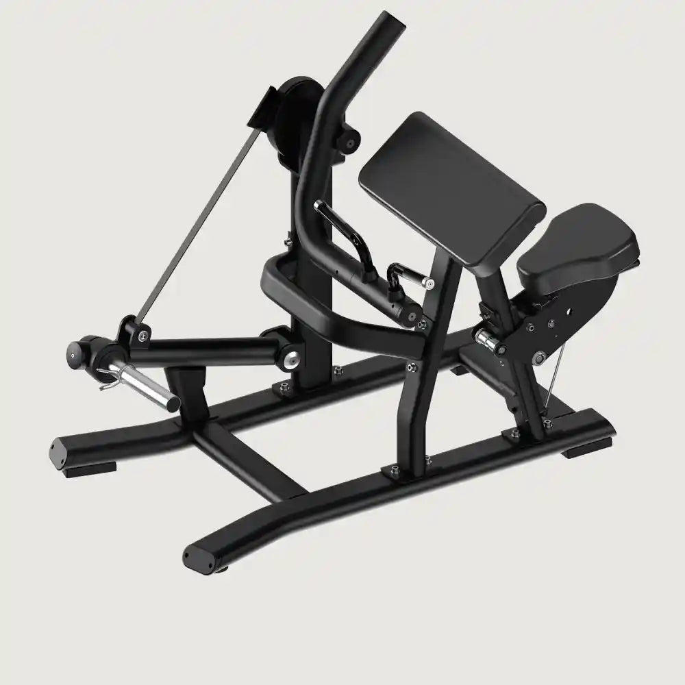 Anatomy Torgyn Biceps Curl
