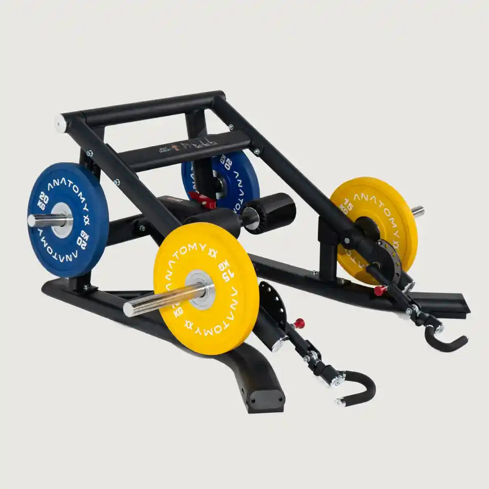 Anatomy Torgyn Multi Deadlift