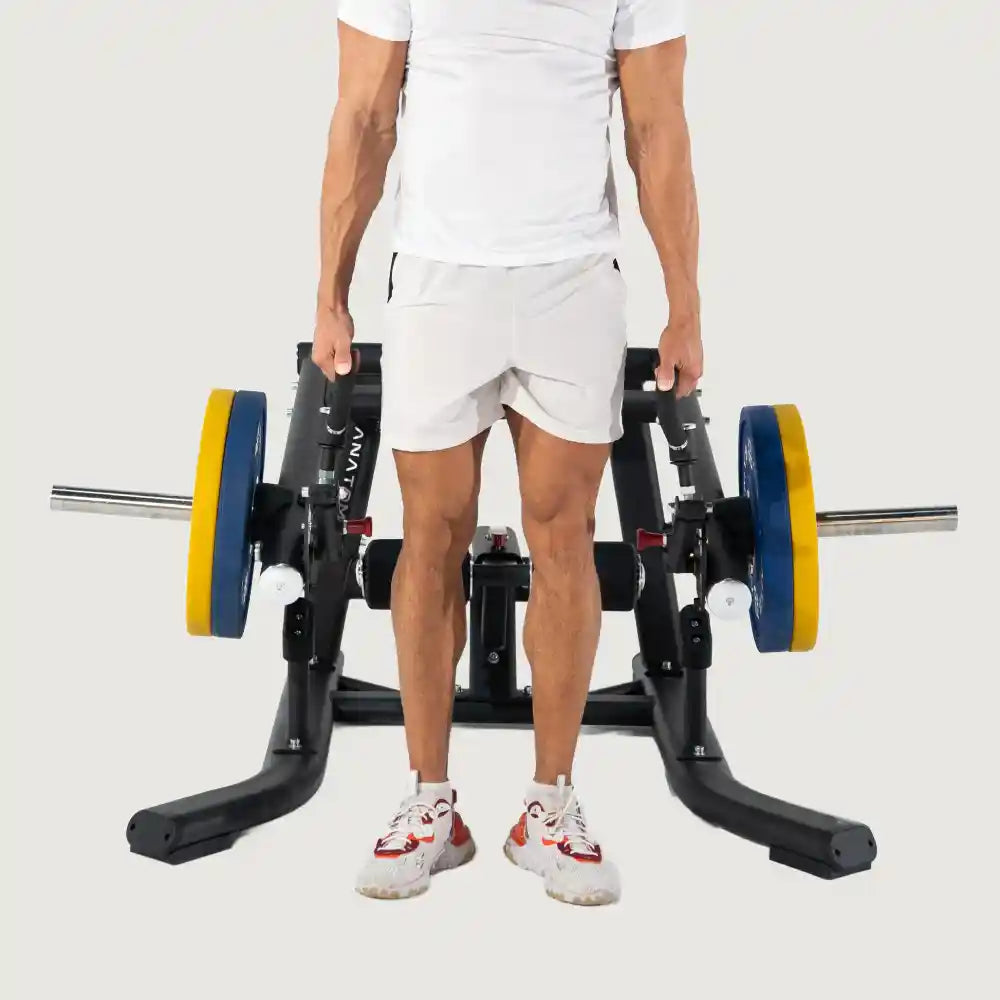 Anatomy Torgyn Multi Deadlift