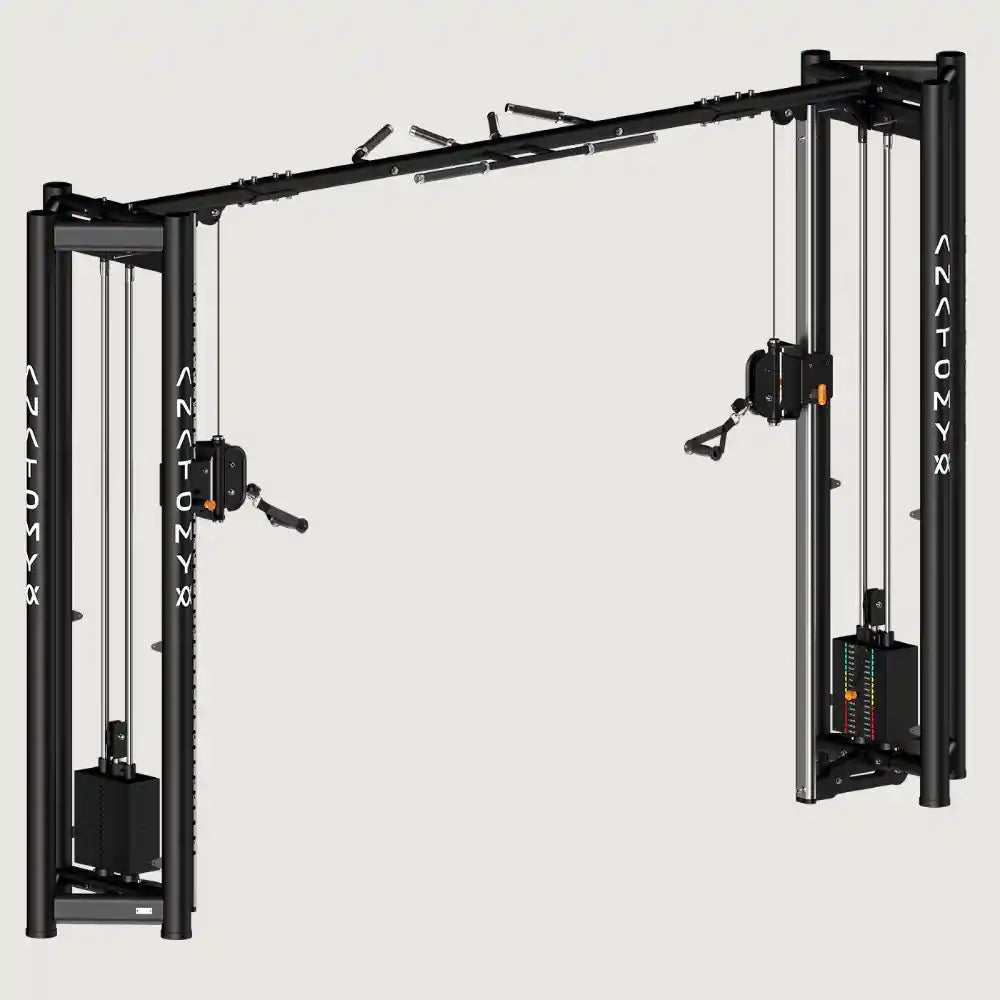 Anatomy Flexora Cable Cross